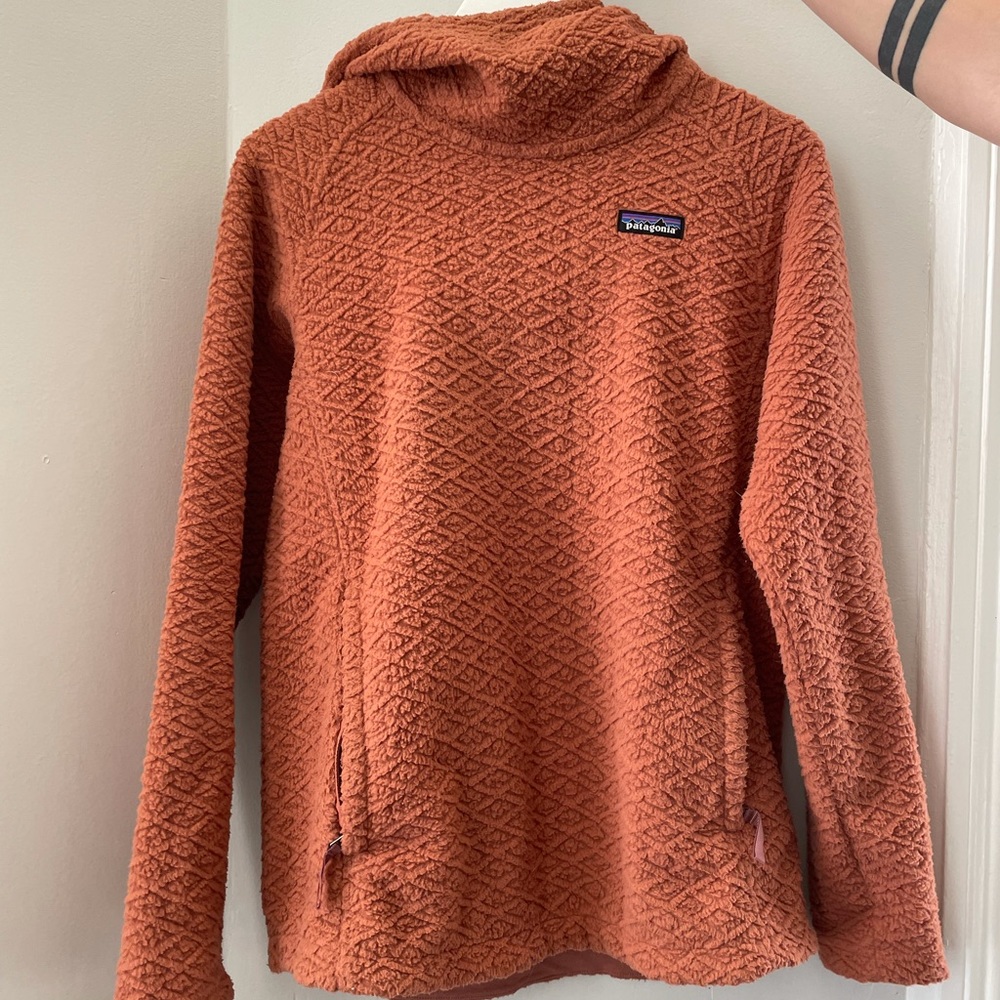 Patagonia Capra Hoodie Pullover